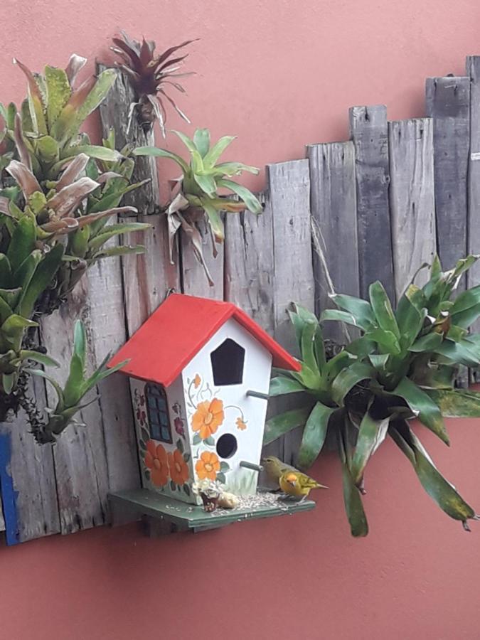 Casa Indaia Bnb - Casa Compartilhada Caraguatatuba Exterior foto